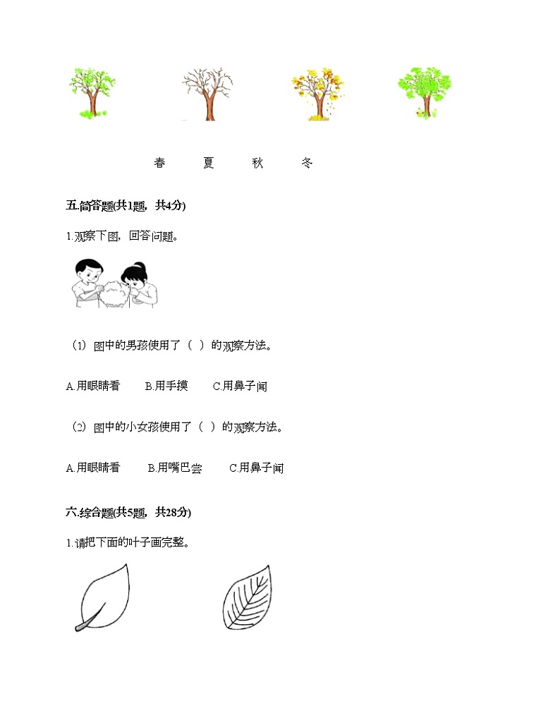 教科版一年级上册科学期末测试卷（模拟题）第3页