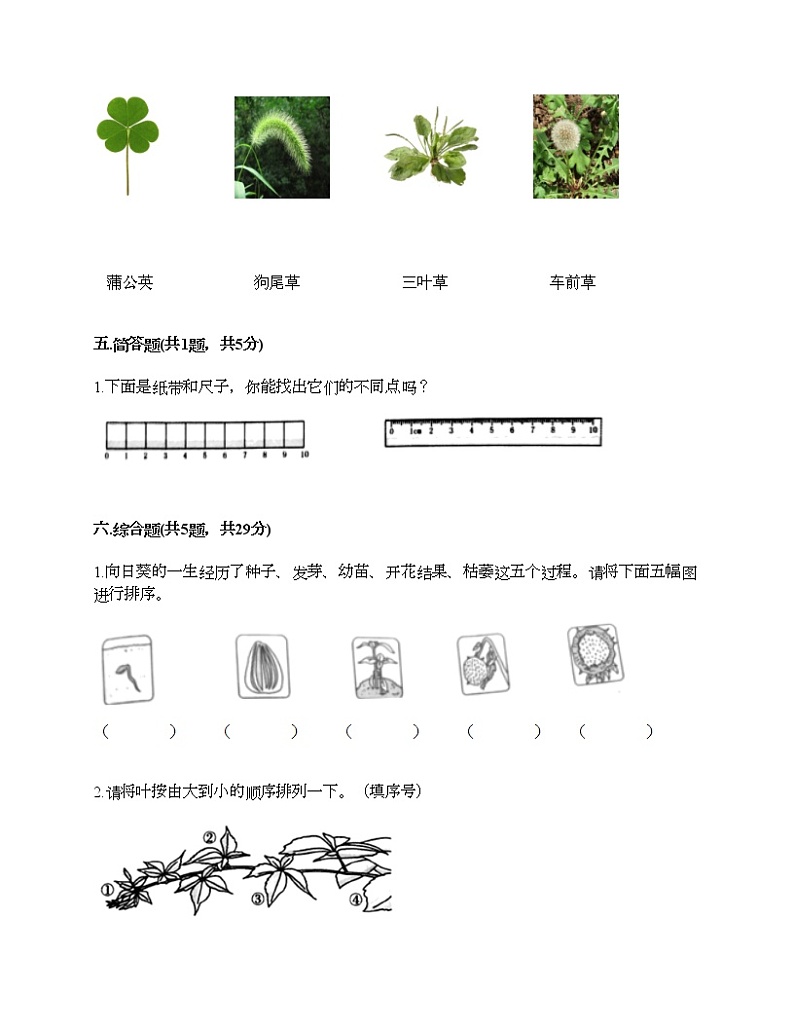 教科版一年级上册科学期末测试卷附答案（实用）第3页
