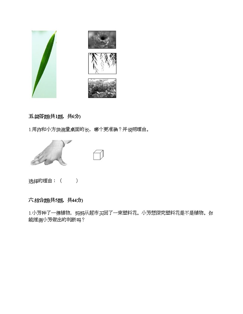 教科版一年级上册科学期末测试卷附答案（考试直接用）03