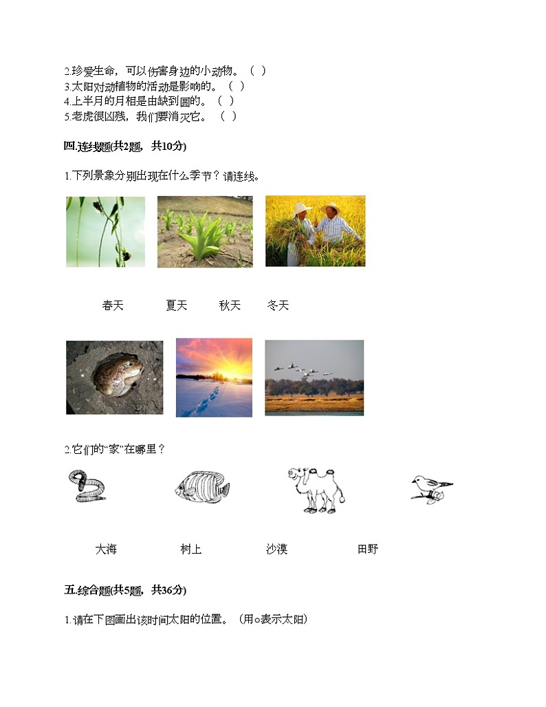 教科版科学二年级上册第一单元《我们的地球家园》测试卷（名校卷）第2页