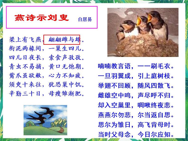 2.3 翩翩雌与雄 课件+教案+学案04