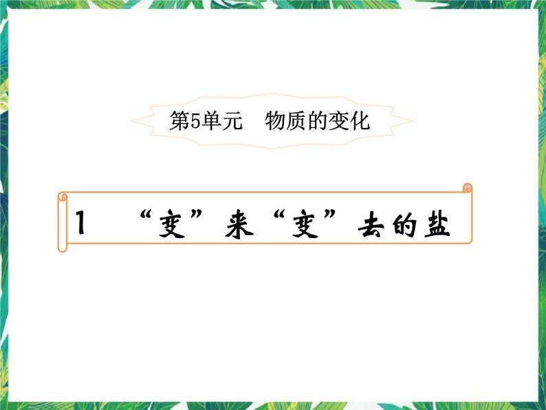 5.1“变”来“变”去的盐 课件+教案+学案01