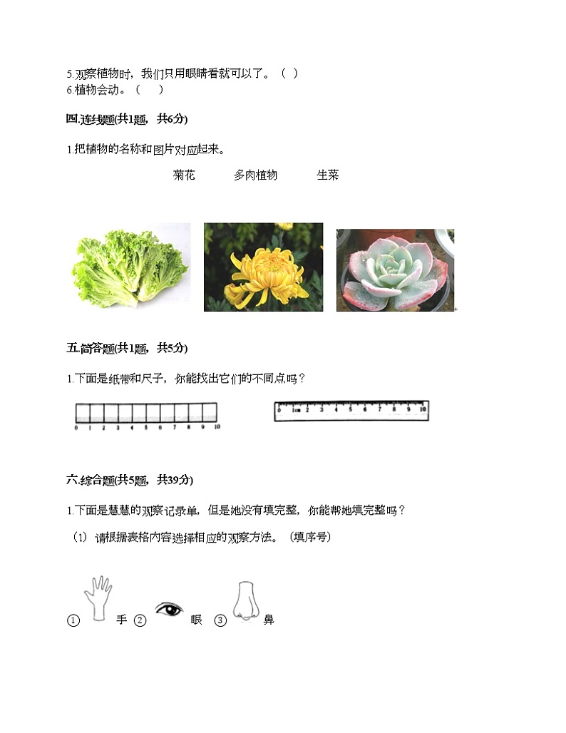 2021-2022学年教科版（2017秋）一年级科学上学期期末期末测试卷带精品答案03