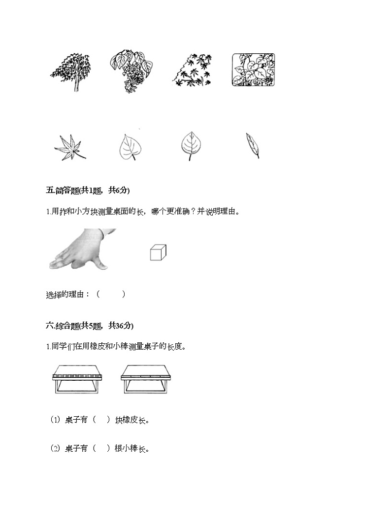 2021-2022学年教科版（2017秋）一年级科学上学期期末期末测试卷附精品答案03