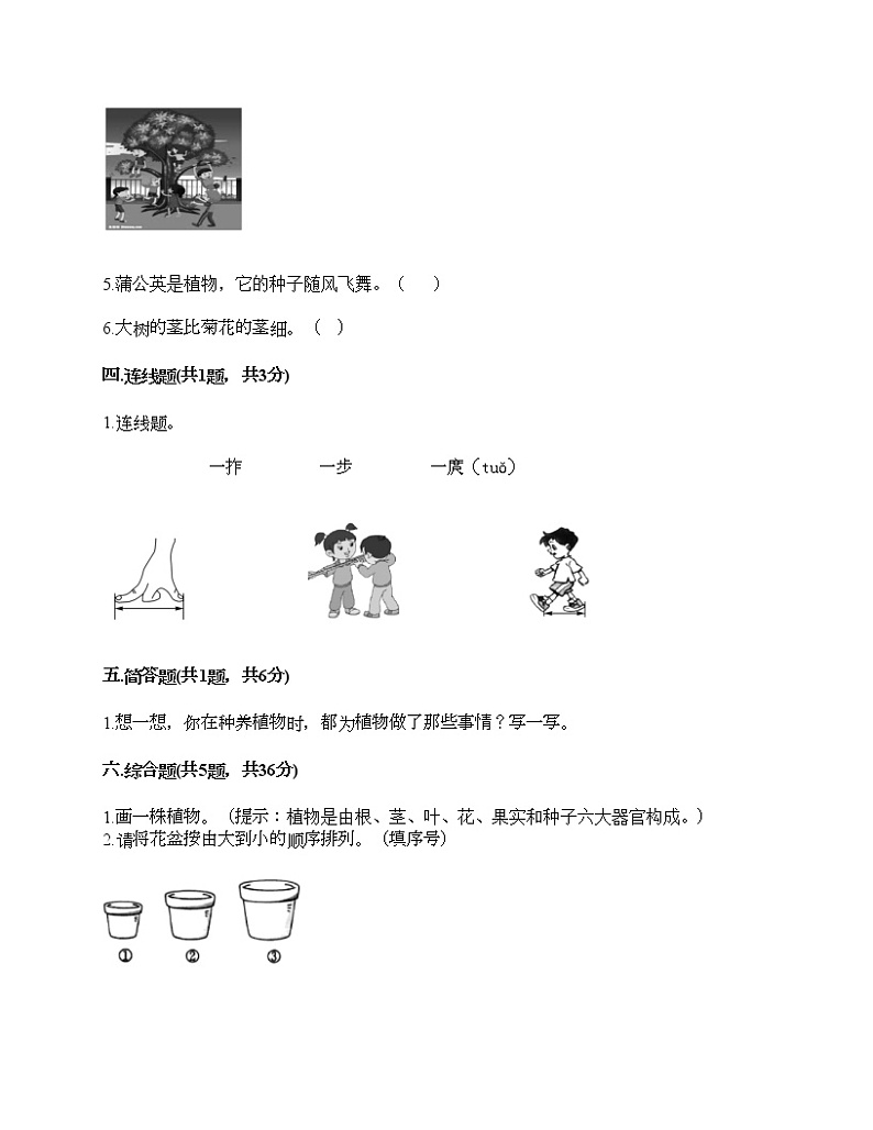 2021-2022学年教科版（2017秋）一年级科学上学期期末期末测试卷A4版打印03