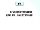 教科版六年级下册 2.4 《多种多样的动物》 课件+视频素材