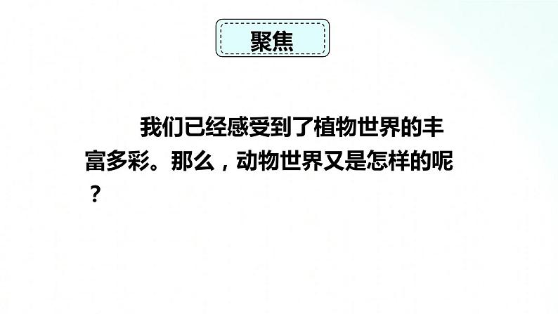 教科版六年级下册 2.4 《多种多样的动物》 课件+视频素材02
