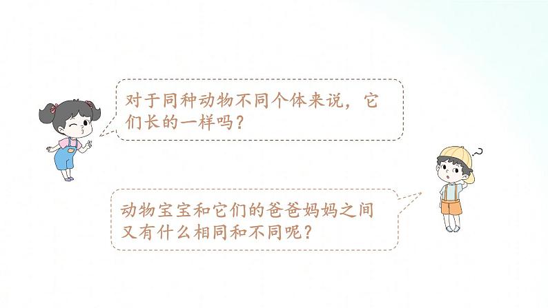 教科版六年级下册 2.4 《多种多样的动物》 课件+视频素材05