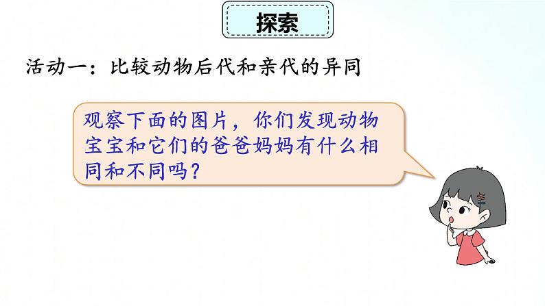 教科版六年级下册 2.4 《多种多样的动物》 课件+视频素材06