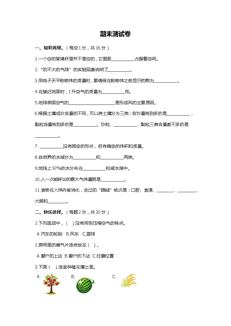 小学科学三年级上期末测试卷  苏教版  Word含答案第1页