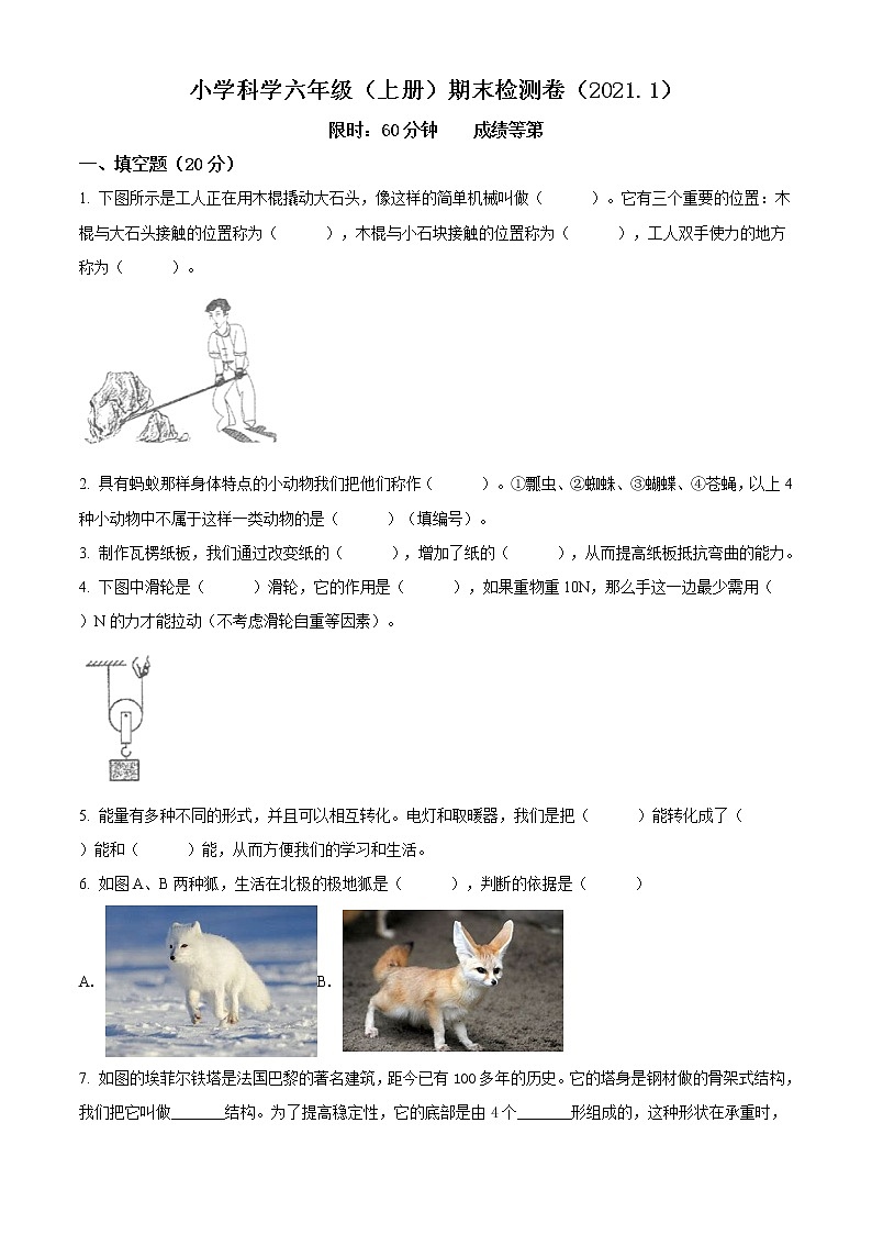 2020-2021学年浙江省嘉兴市南湖区教科版科版科学六年级上册期末考试试卷（word版含答案）01