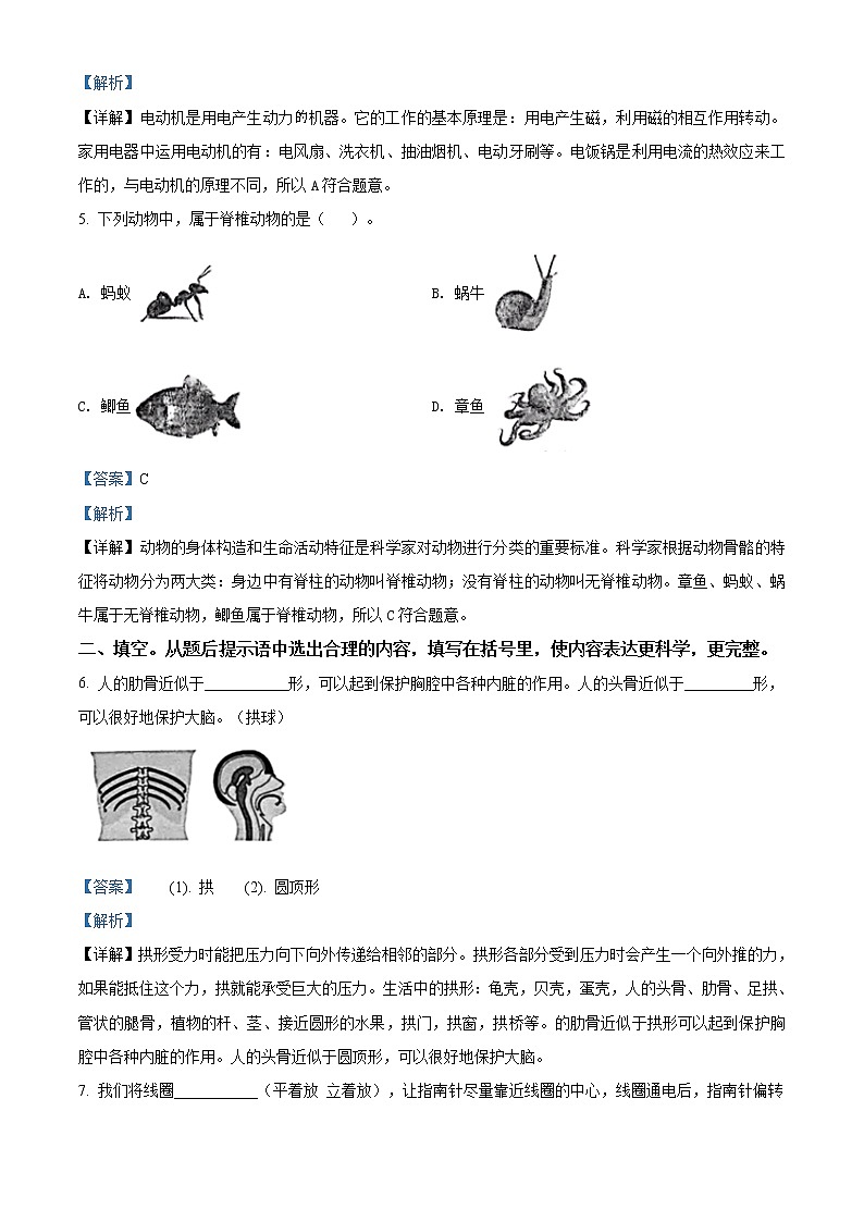 2020-2021学年安徽省合肥市教科版科学六年级上册期末考试试卷（word版含答案）03