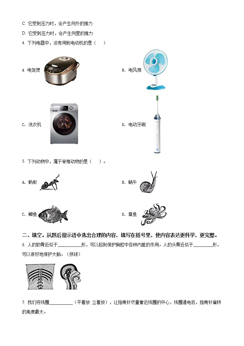 2020-2021学年安徽省合肥市教科版科学六年级上册期末考试试卷（word版含答案）02