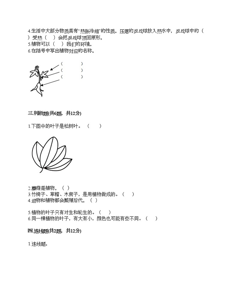 教科版科学一年级上册第一单元《植物》测试卷含答案02
