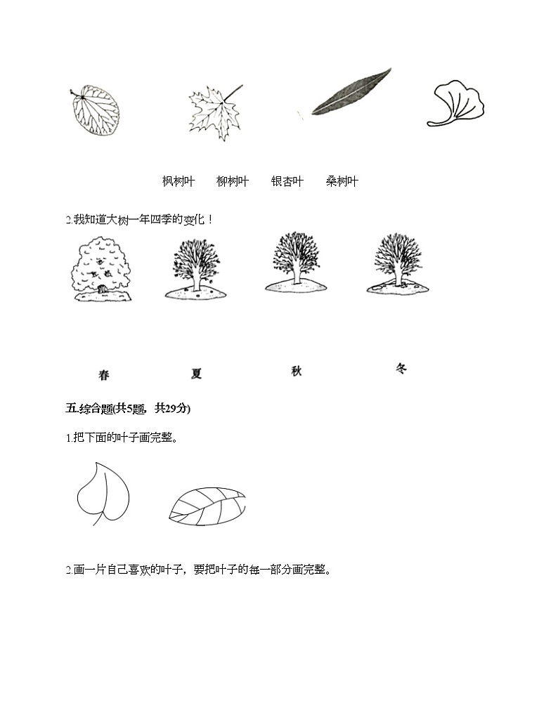 教科版科学一年级上册第一单元《植物》测试卷含答案03