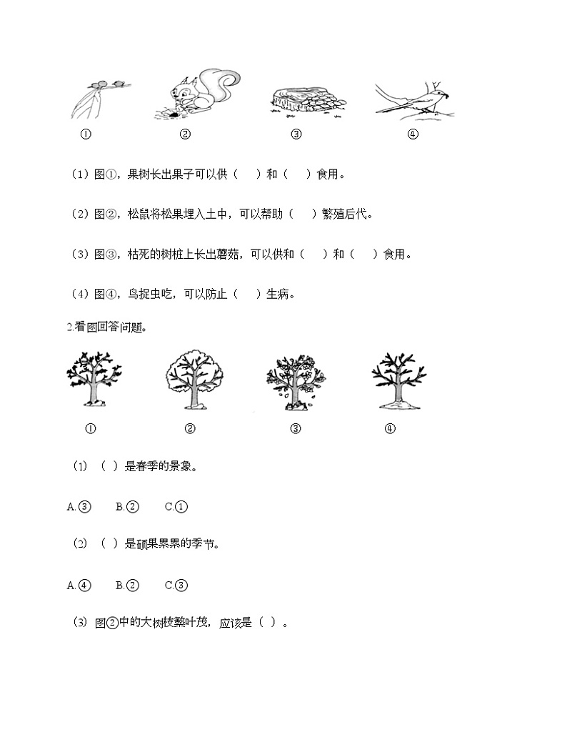 教科版科学二年级上册第一单元《我们的地球家园》测试卷（基础题）第3页