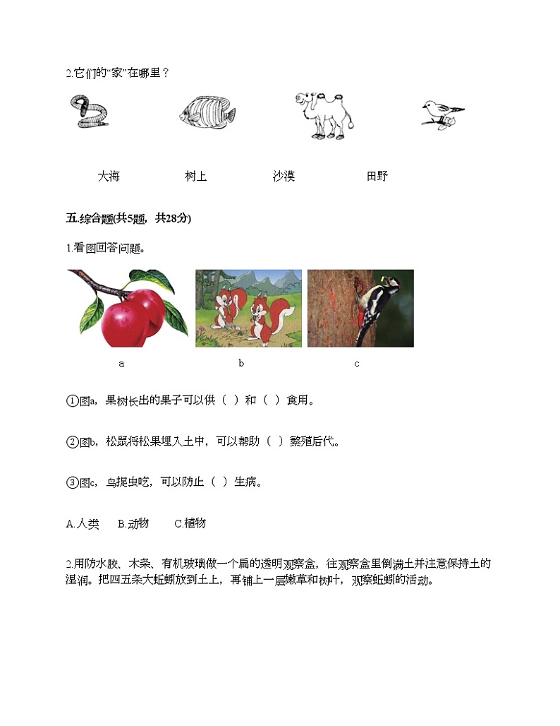 教科版科学二年级上册第一单元《我们的地球家园》测试卷（各地真题）第3页