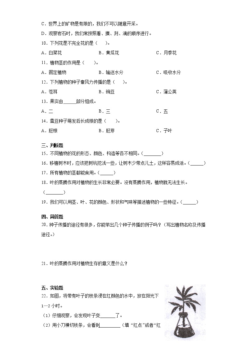 青岛版（五四制）三年级科学上册第一单元植物的“身体”测试卷（含答案）02