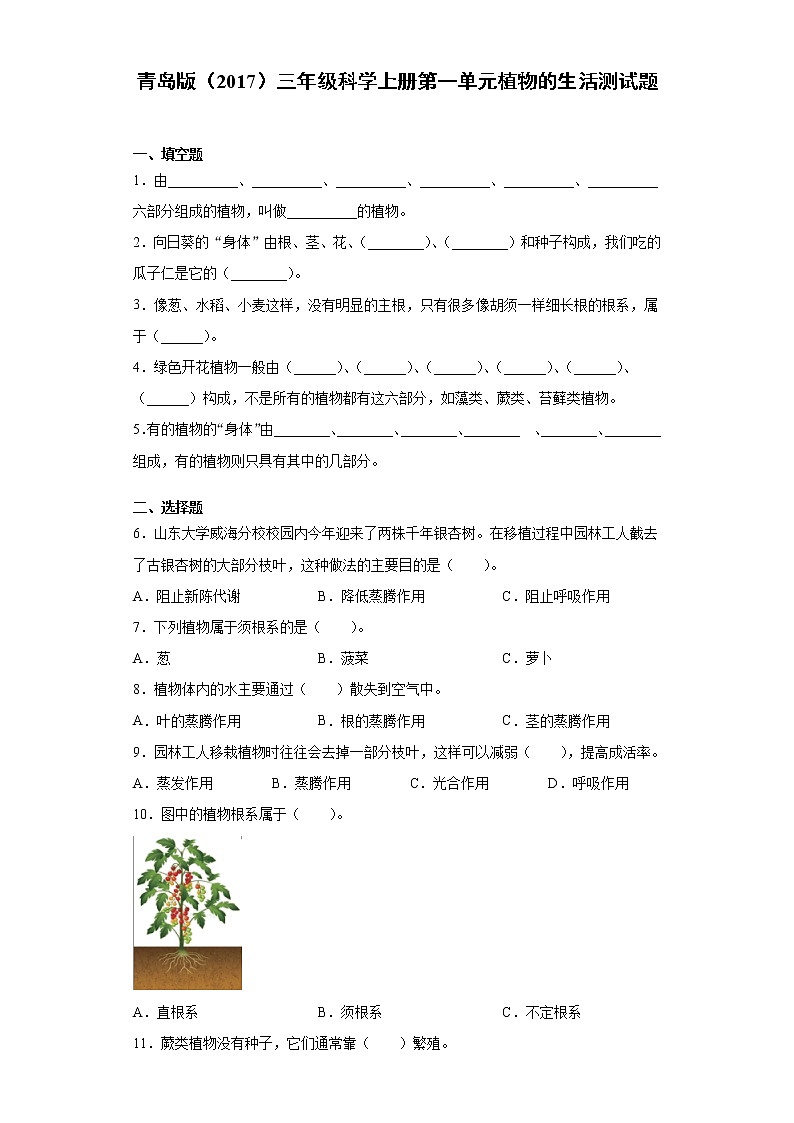 青岛版（2017）三年级科学上册第二单元植物的生活测试卷（含答案）第1页