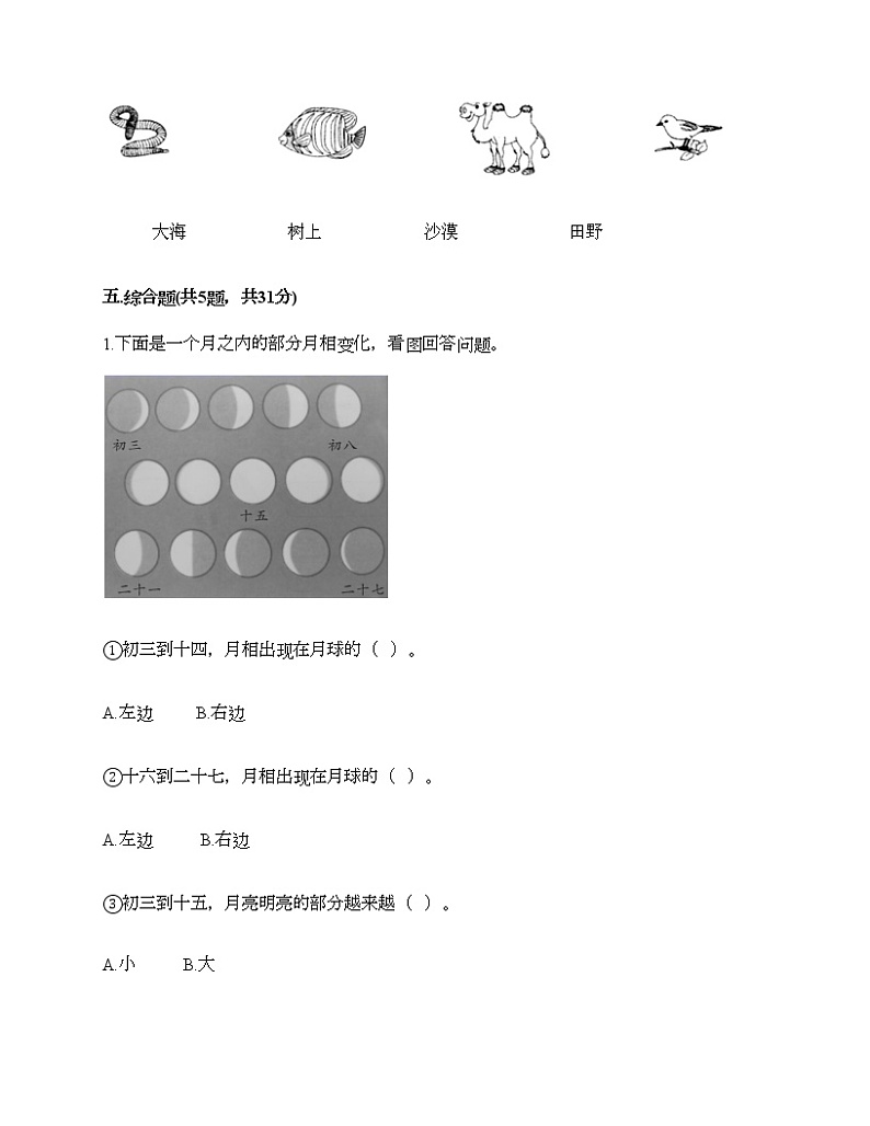 教科版科学二年级上册第一单元《我们的地球家园》测试卷（典型题）第3页