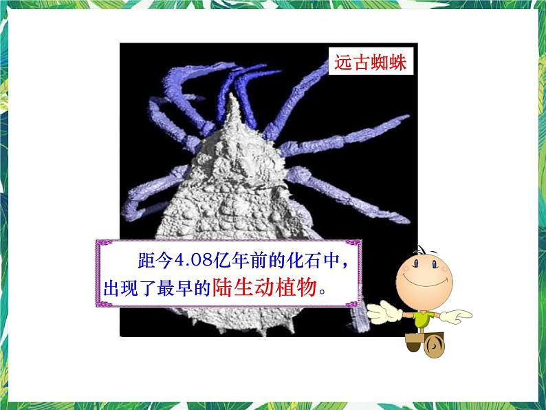 1.1 生命的历程 湘教版六年级下册科学课件第3页