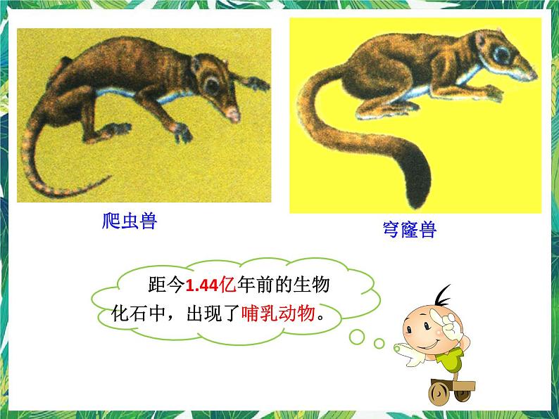 1.1 生命的历程 湘教版六年级下册科学课件第5页