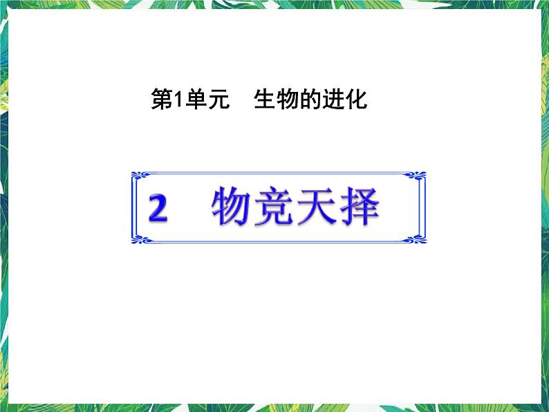 1.2 物竞天择  湘教版六年级下册科学课件第1页