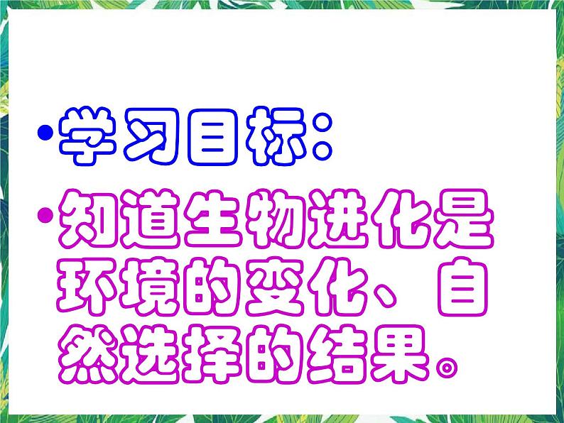 1.2 物竞天择  湘教版六年级下册科学课件第2页