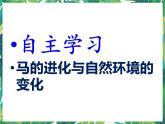 1.2 物竞天择  湘教版六年级下册科学课件