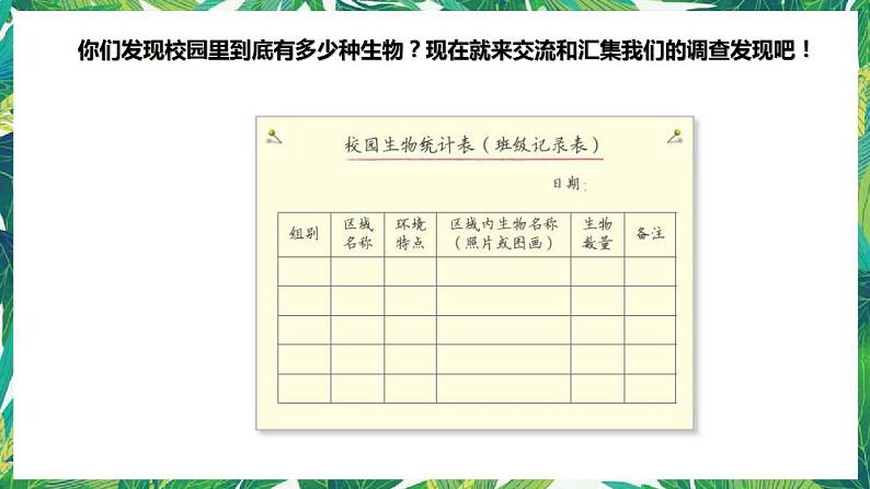 2.《制作校园生物分布图》课件+教案+视频03