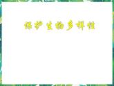 7.《保護(hù)生物多樣性》課件+教案