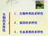 7.《保護(hù)生物多樣性》課件+教案