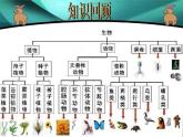 7.《保護(hù)生物多樣性》課件+教案