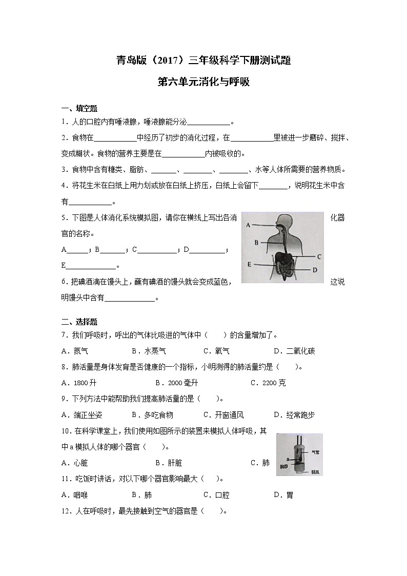 青岛版三年级科学下册第六单元消化与呼吸测试卷（含答案）01