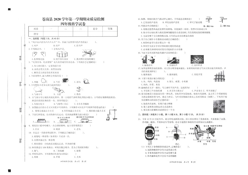 四年级上册科学试题-苍南县2020学年第一学期期末质量检测 教科版第1页