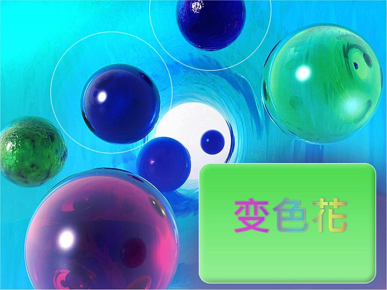 苏教版科学六年级上册3.3 变色花（课件）01