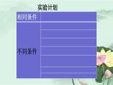 苏教版科学六年级上册3.4 洗衣服的学问（课件）