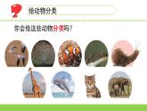 苏教版科学四年级上册1.给动物分类教学课件