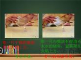 苏教版科学六年级上册3.1 蜡烛的变化（课件）