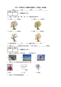 教科版二年级上册科学期末质量检测卷1（含答案）