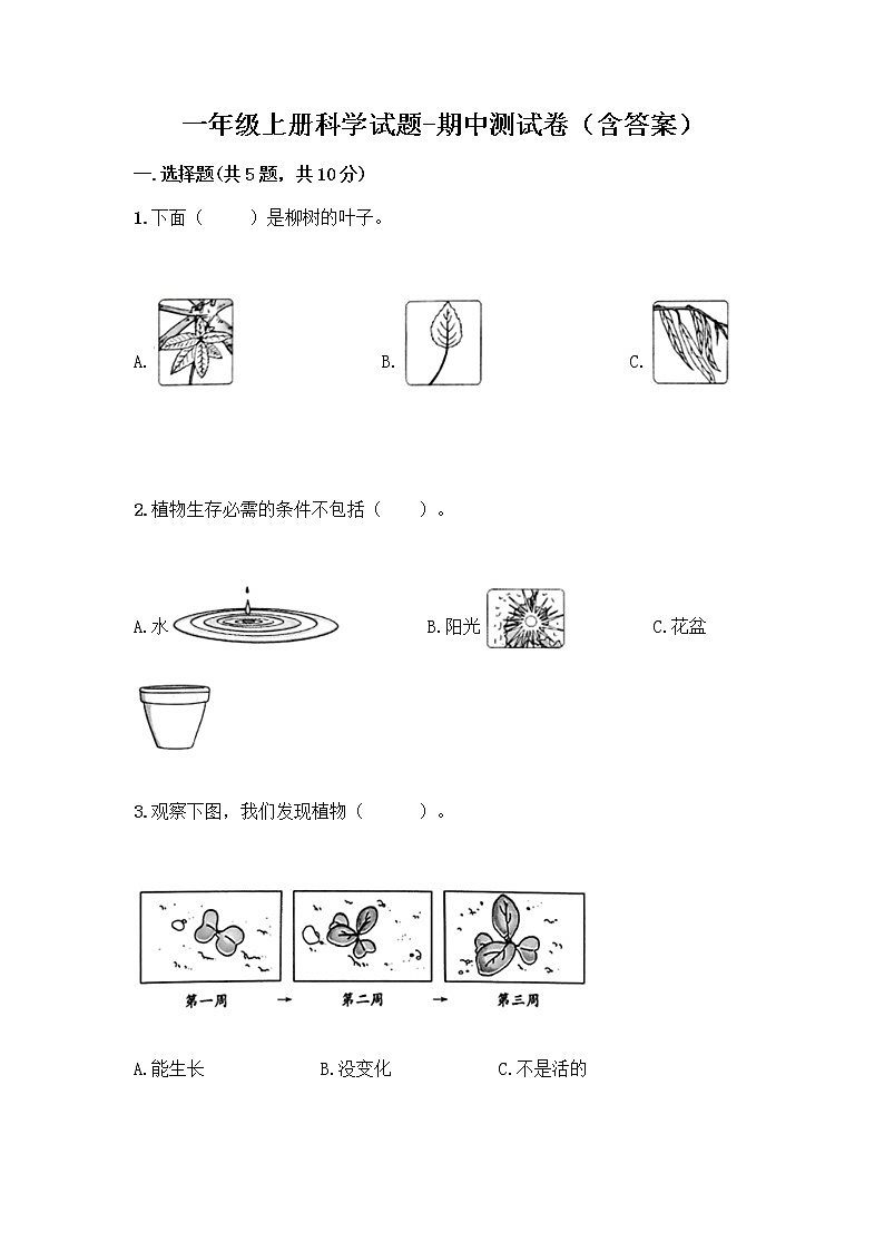 教科版一年级上册科学期中质量检测卷1 （含答案）01