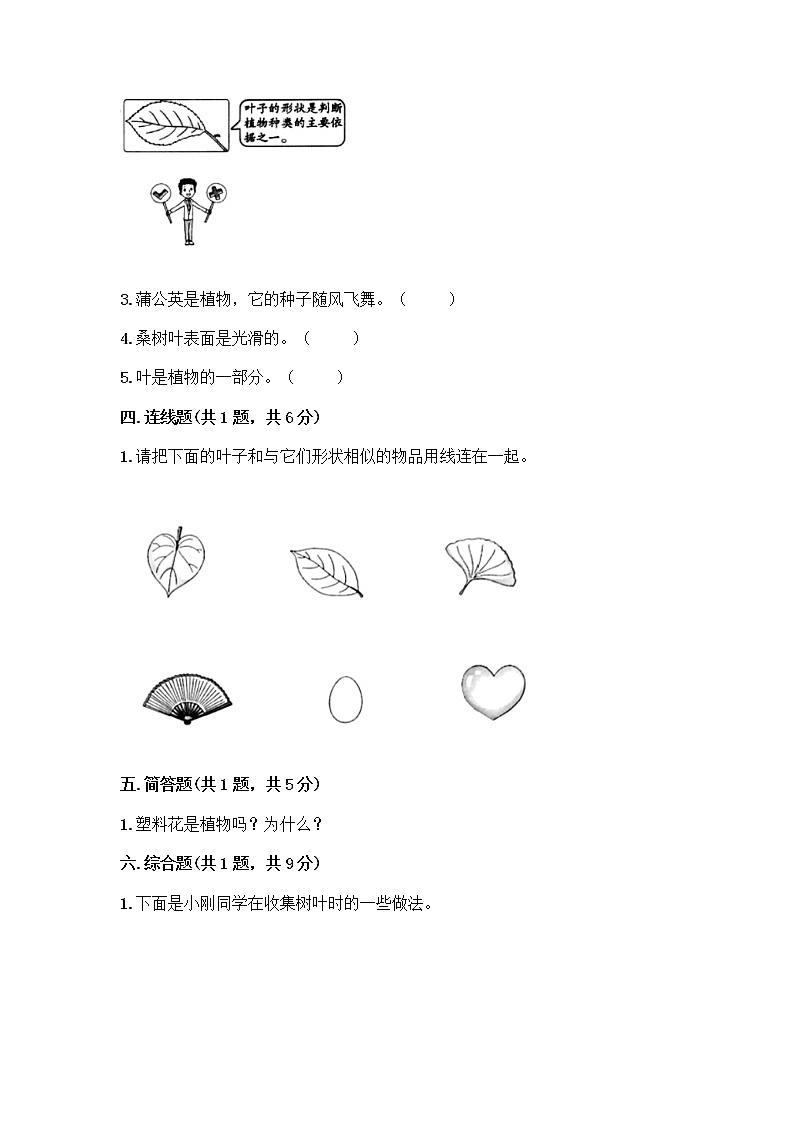 教科版一年级上册科学期中质量检测卷1 （含答案）03