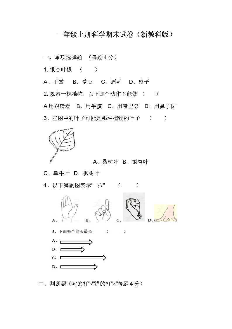 教科版一年级上册科学期末试卷1第1页