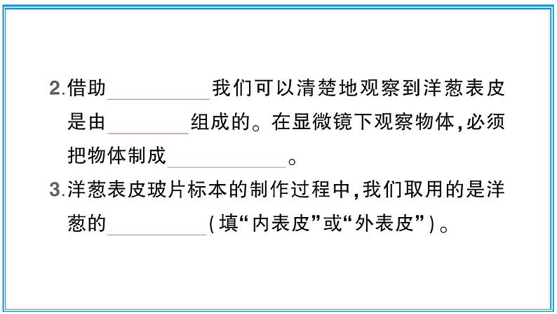 小学科学教科版六年级上册第一单元第4课《观察洋葱表皮细胞》作业课件第3页