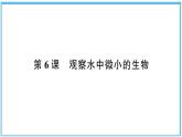 观察水中微小的生物PPT课件免费下载