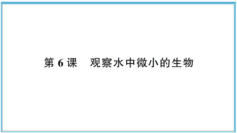 观察水中微小的生物PPT课件免费下载01