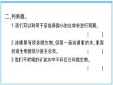 观察水中微小的生物PPT课件免费下载