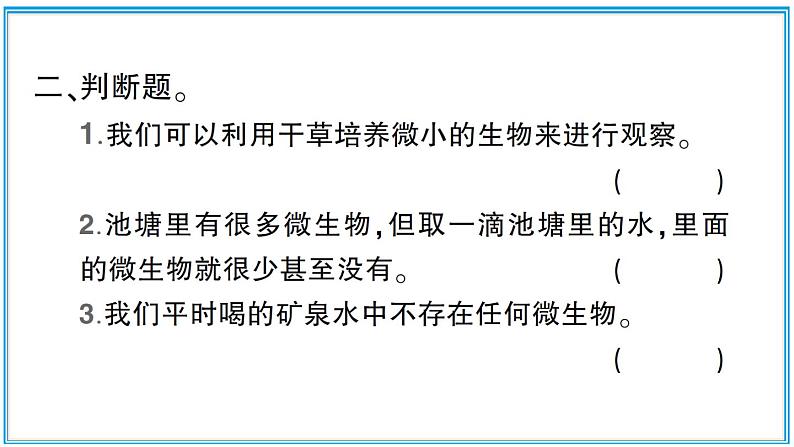 观察水中微小的生物PPT课件免费下载04