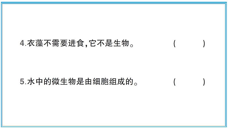 观察水中微小的生物PPT课件免费下载05