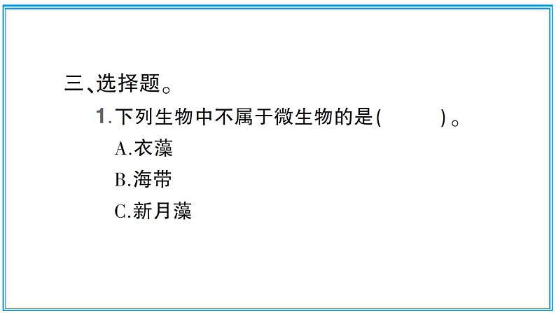 观察水中微小的生物PPT课件免费下载07